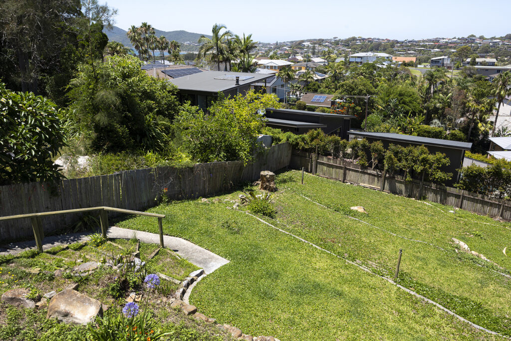 Backyard